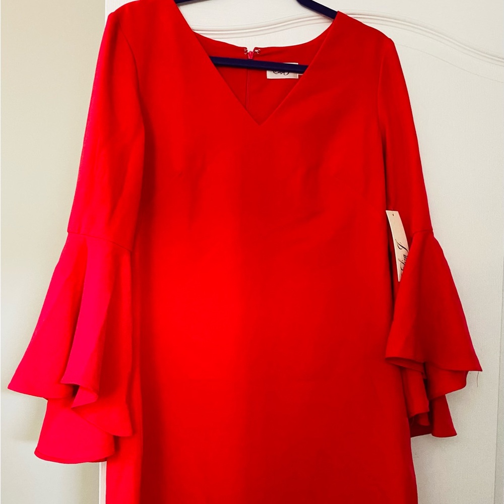 ElizaJ dress in Rose red color size 12